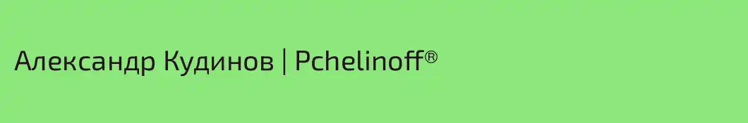 Александр Кудинов | Pchelinoff®